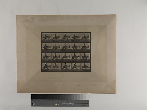 Animal Locomotion. Plate 666.