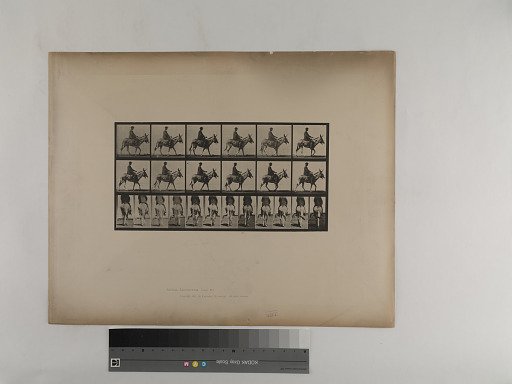 Animal Locomotion. Plate 667.