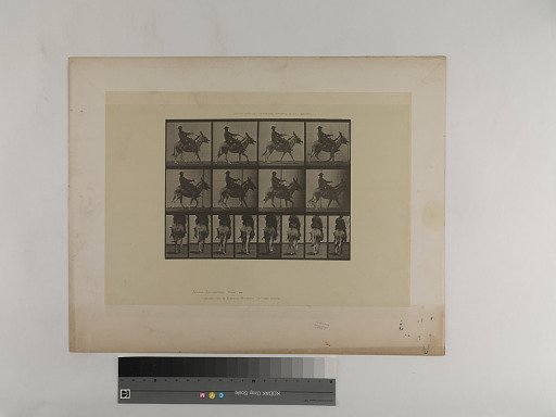 Animal Locomotion. Plate 668.