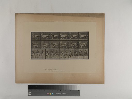 Animal Locomotion. Plate 678.