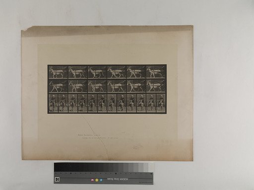 Animal Locomotion. Plate 678.