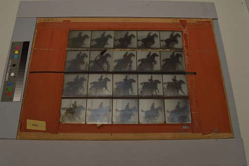 Animal Locomotion: Series 1474, Plate 640