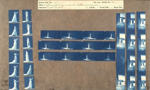 Locomotion, Plate 55 "Walking, Turning Around, Action of Aversion"