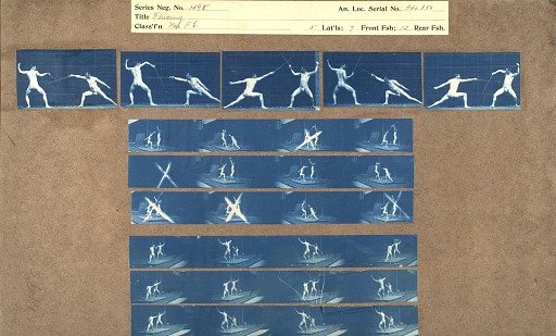 Fencing