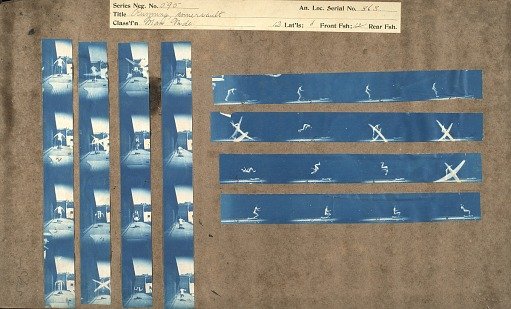 Running, somersault