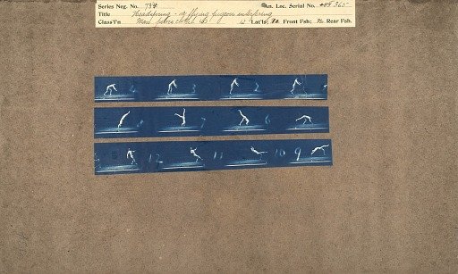 Headspring - a flying pigeon interfering