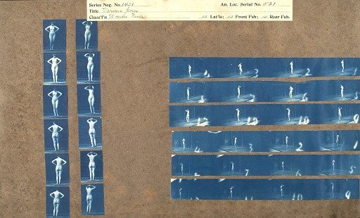 Various poses