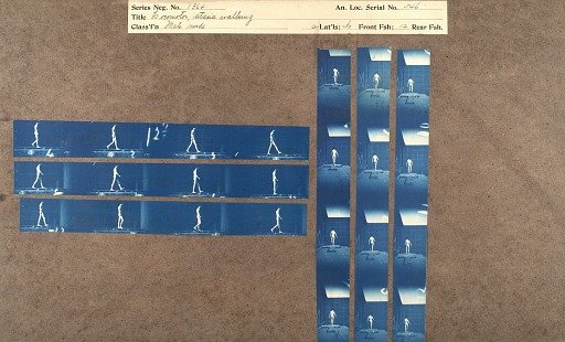 Locomotor, ataxia walking
