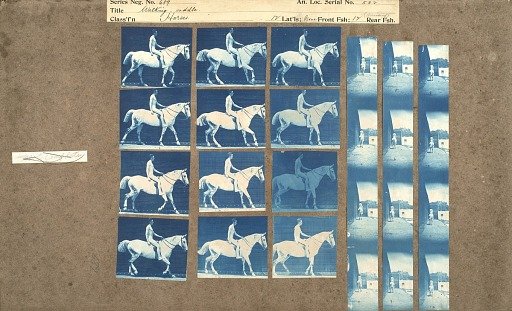 Walking - saddle