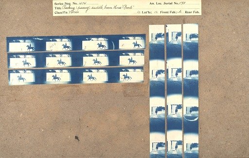 Racking (pacing) saddle, brown Horse 'Pronto'