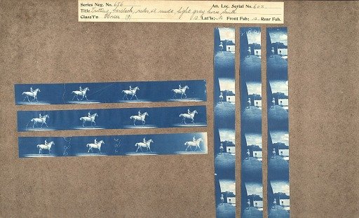 Trotting; bareback rider, 43, nude, light gray horse Smith