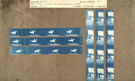 Canter; bareback rider, nude, gray horse 'Smith'