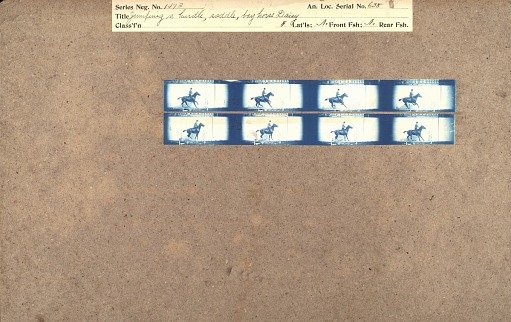 Jumping a hurdle, saddle, bay horse Daisy