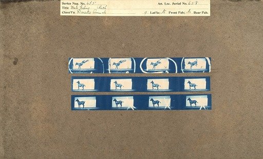 Mule kicking (Ruth)