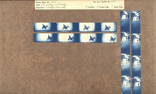 Boy riding a donkey