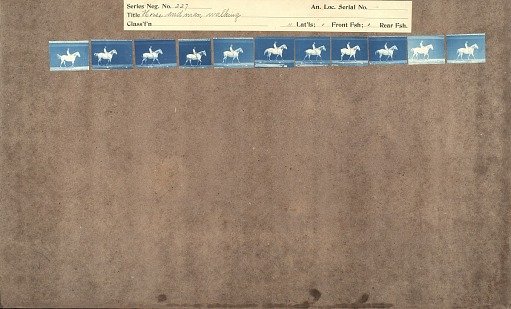 Horse and man walking