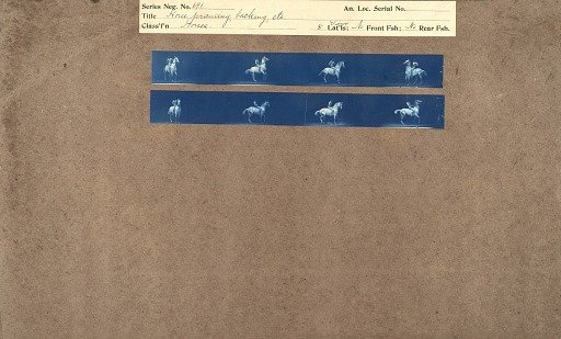 Horse prancing, backing, etc