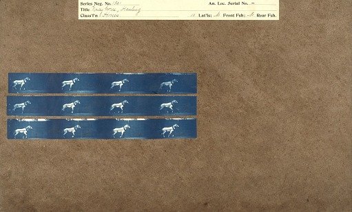 Gray horse, hauling