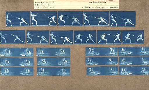 Fencing