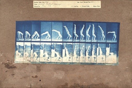 Acrobat, vertical "press up"