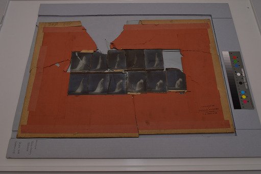 Animal Locomotion: Series 619, Plate 208