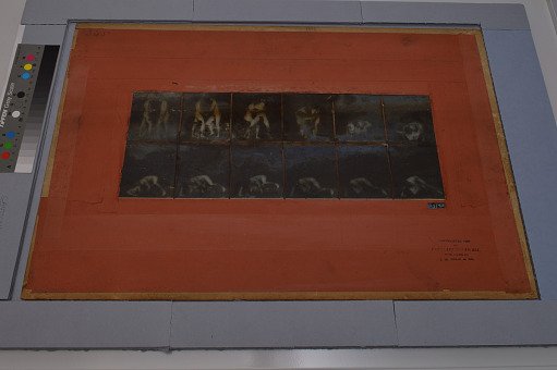 Animal Locomotion: Series 1516.L, Plate 345