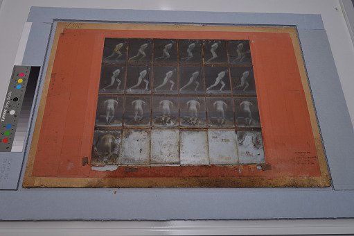 Animal Locomotion: Series 750, Plate 393