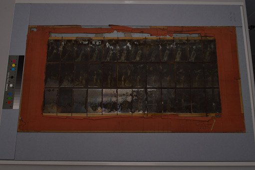 Animal Locomotion: Series 1012, Plate 421