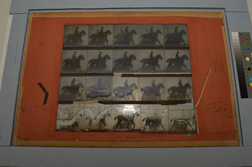 Animal Locomotion: Series 1478, Plate 598