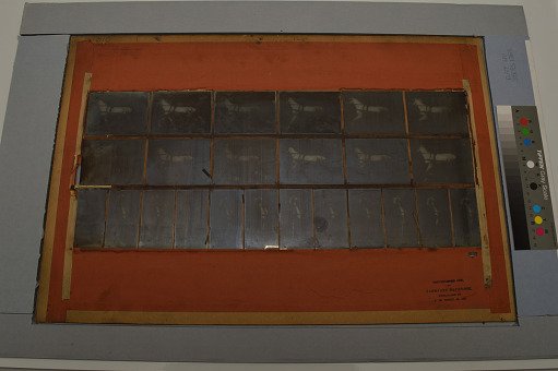 Animal Locomotion: Series 1268, Plate 610