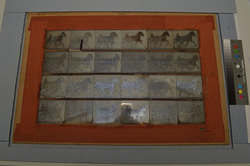 Animal Locomotion: Series 1300, Plate 613