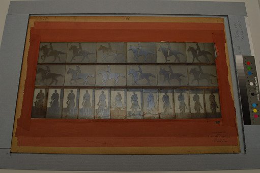 Animal Locomotion: Series 1297, Plate 618
