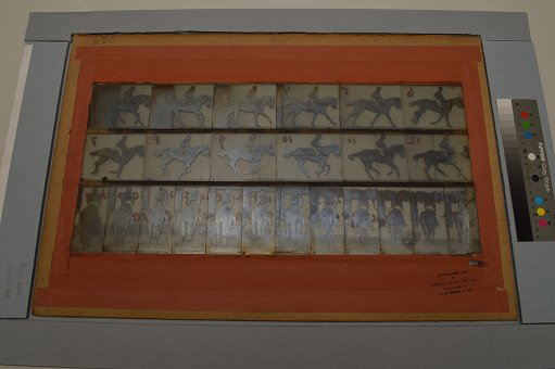 Animal Locomotion: Series 1285, Plate 620