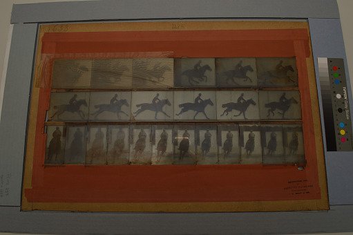 Animal Locomotion: Series 1284, Plate 633