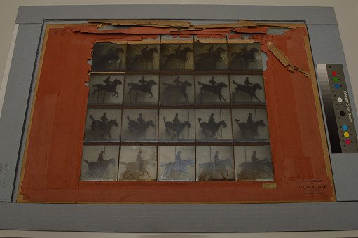 Animal Locomotion: Series 1472, Plate 637