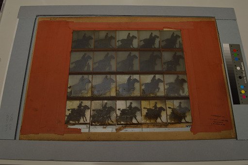 Animal Locomotion: Series 1473, Plate 638