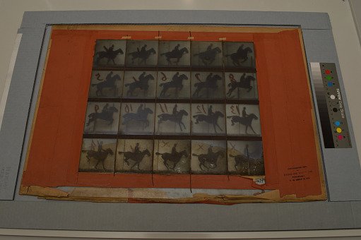 Animal Locomotion: Series 1479, Plate 639