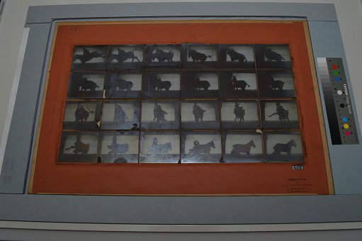Animal Locomotion: Series 658, Plate 661