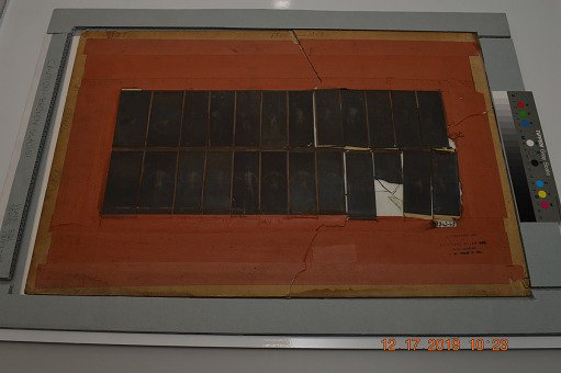 Animal Locomotion: Series 1343-45, Plate 321