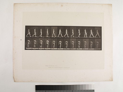 "Animal Locomotion. Plate 2."; Male, Walking
