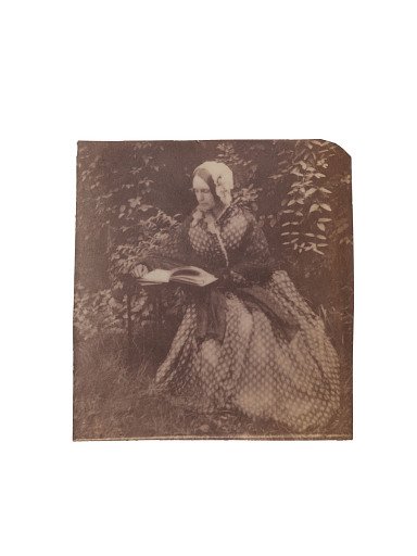 Portrait of a woman reading