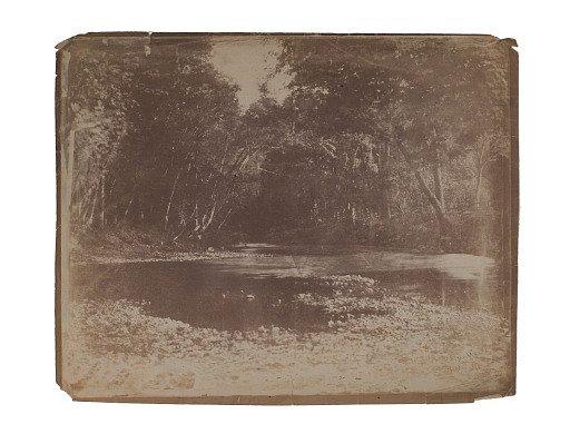 Rock Creek in Spring