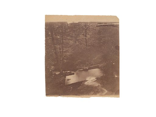 Creek in the woods
