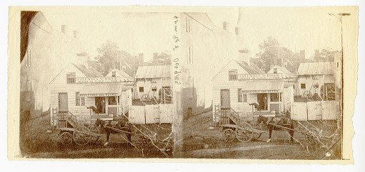 Feed Store of Columbus Scriber
