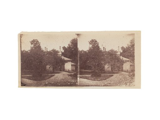 Building among trees