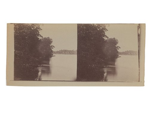 Landscape with river and trees