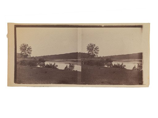 Landscape with river and tree