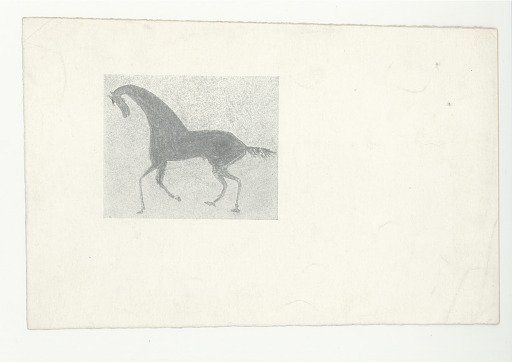 Drawing of a Horse