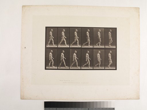 "Animal Locomotion. Plate 6."; Male, Walking