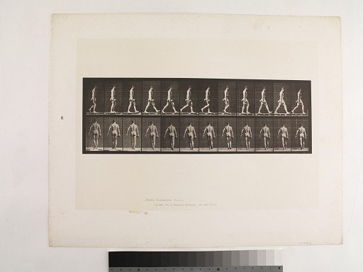 "Animal Locomotion. Plate 28."; Male, Walking, carrying 50-lb. dumb-bell in right hand